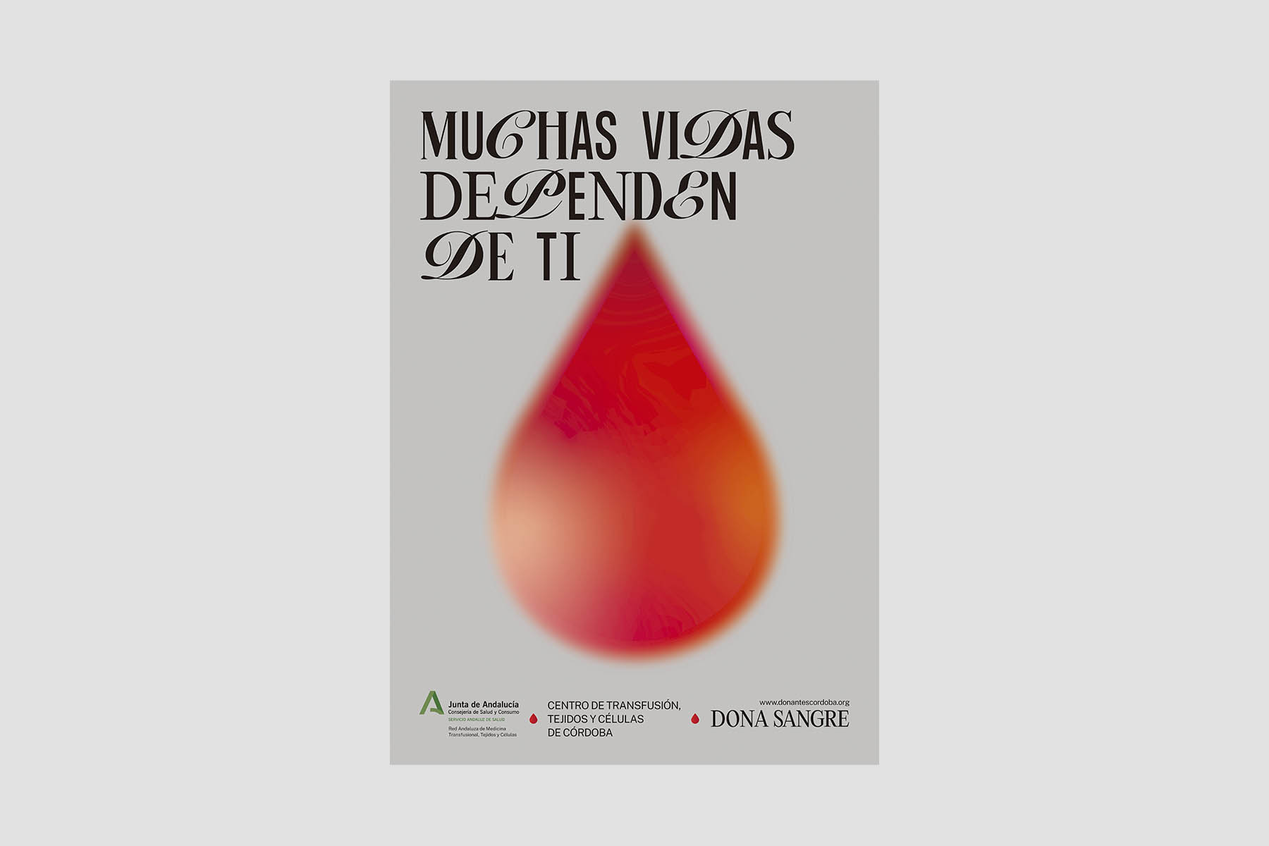 Donación de sangre. Centro de Transfusión, Tejidos y Células de Córdoba